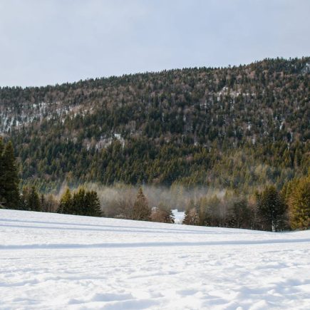 mariages en hiver