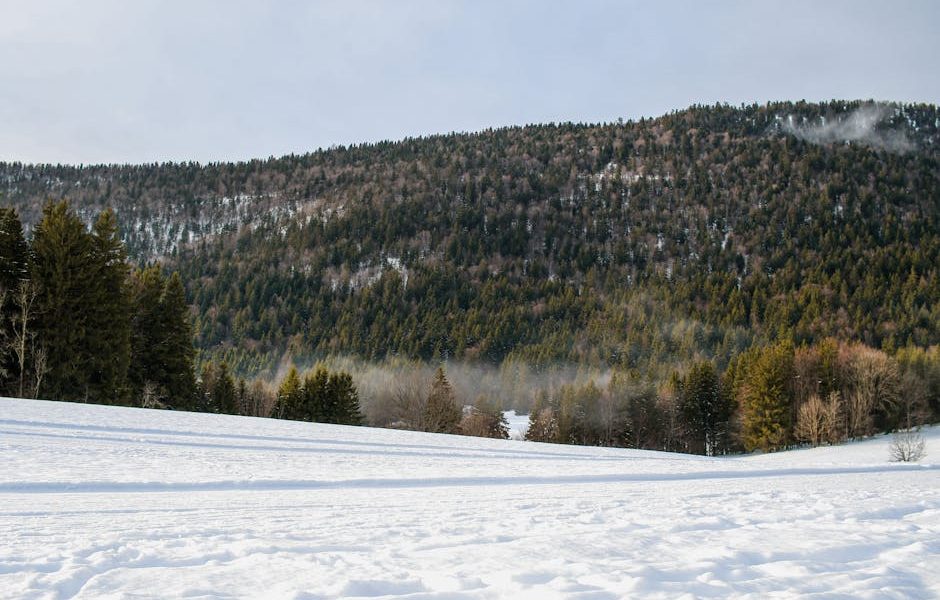 mariages en hiver
