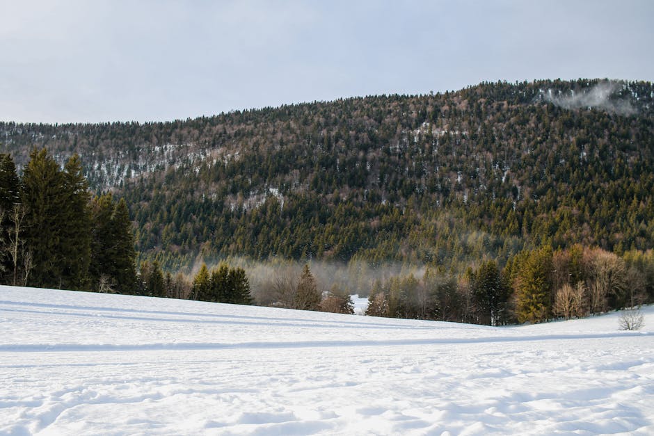 mariages en hiver